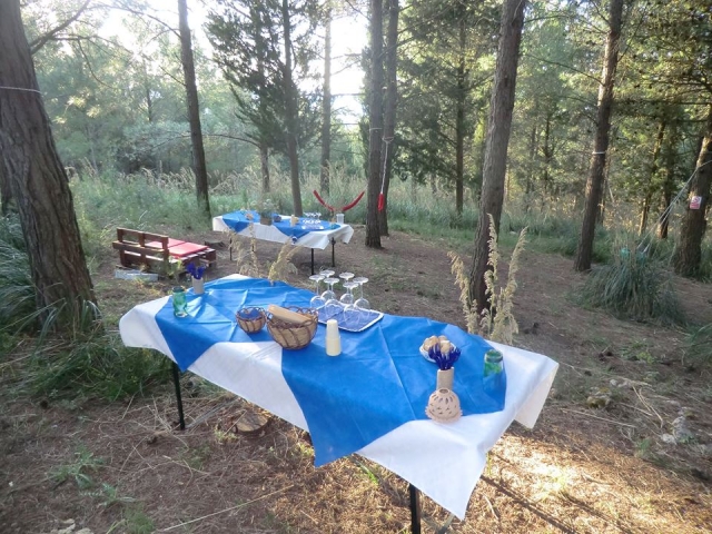  Picnic en el bosque